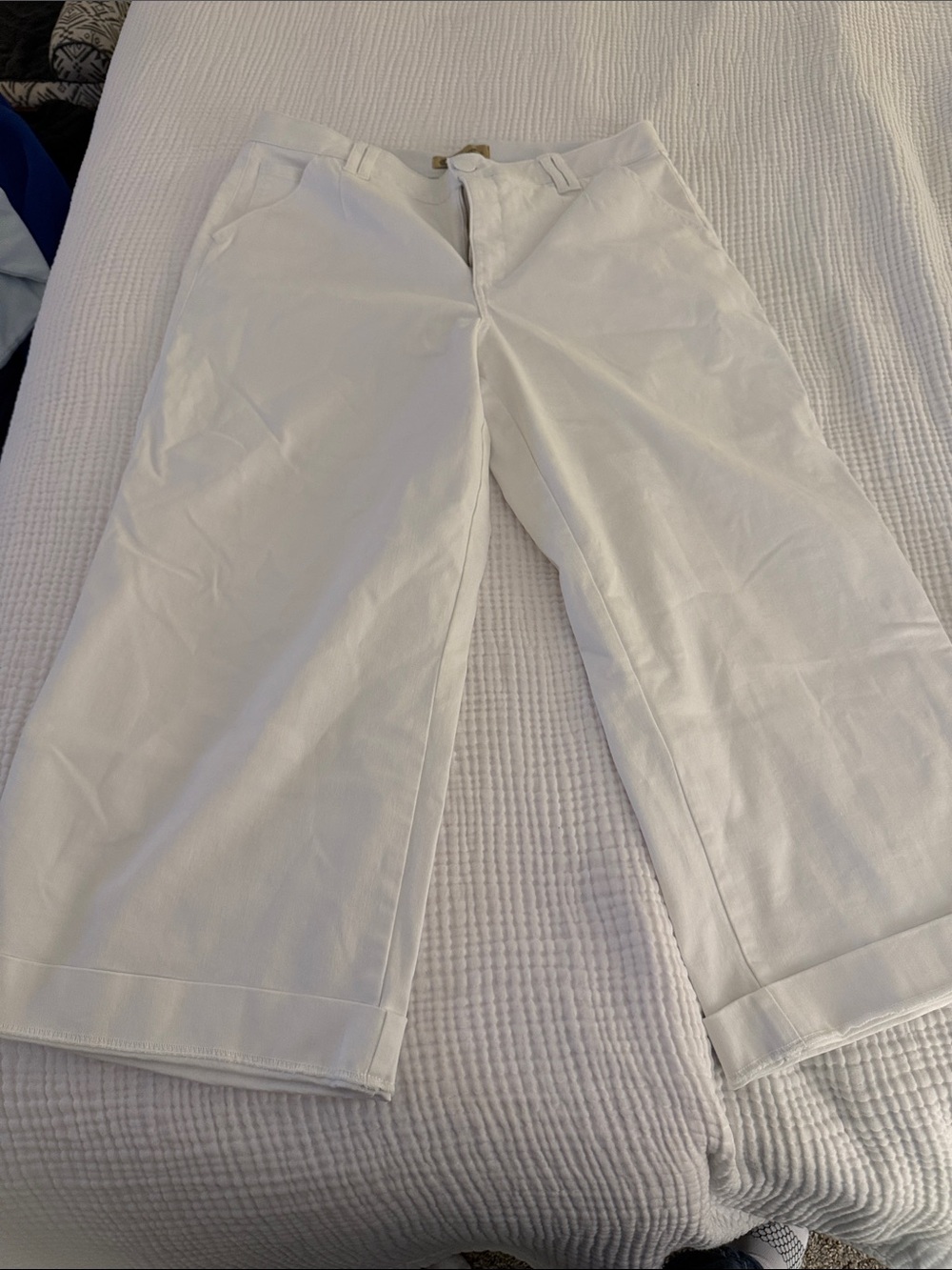 Democracy Ab-Solution white wide-Leg crops